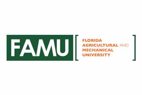 Putting community first: growing nursing program enrollments at Florida Agricultural and Mechanical University image